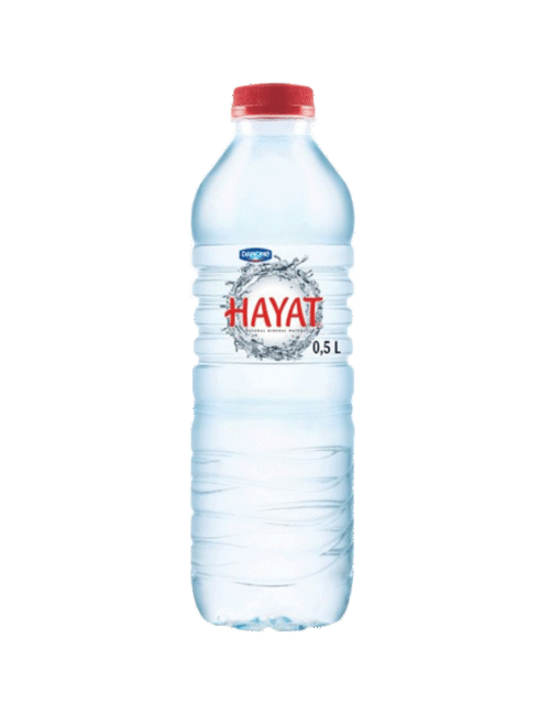 DANONE HAYAT Mineral Water 500ml