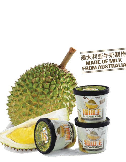 FOODWORTH Musang King Durian Cream 100ml (Frozen)
